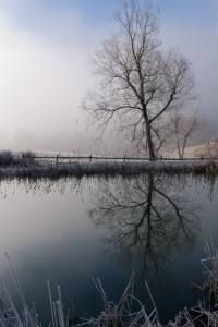 Winter Pond Reflection