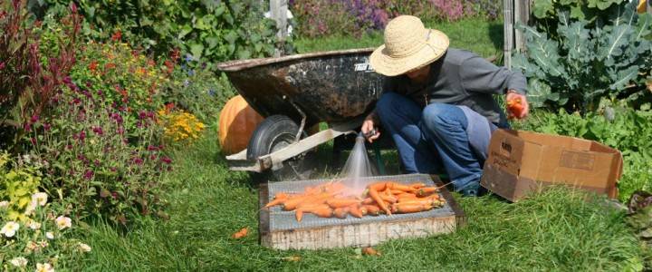 Gardener