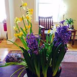 ikebana flower arrangement at Karmê Chöling Buddhist Residential Retreat Center