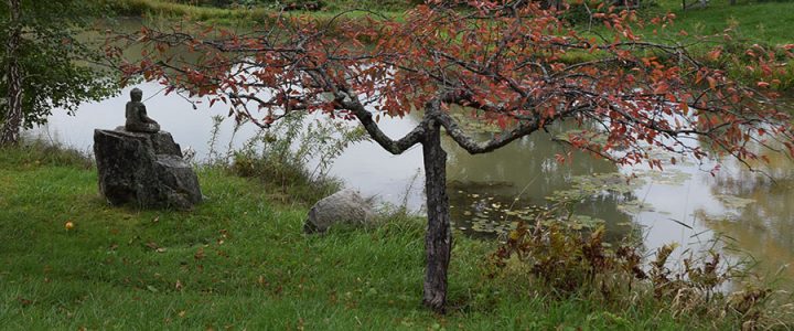 Karme Choling Retreat Center's pond