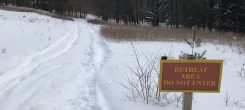 An Uneventful Walk in the Snow