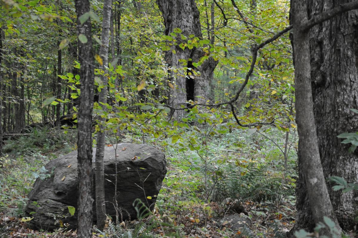 Vaishravhana Solitary Retreat Cabin, Karme Choling